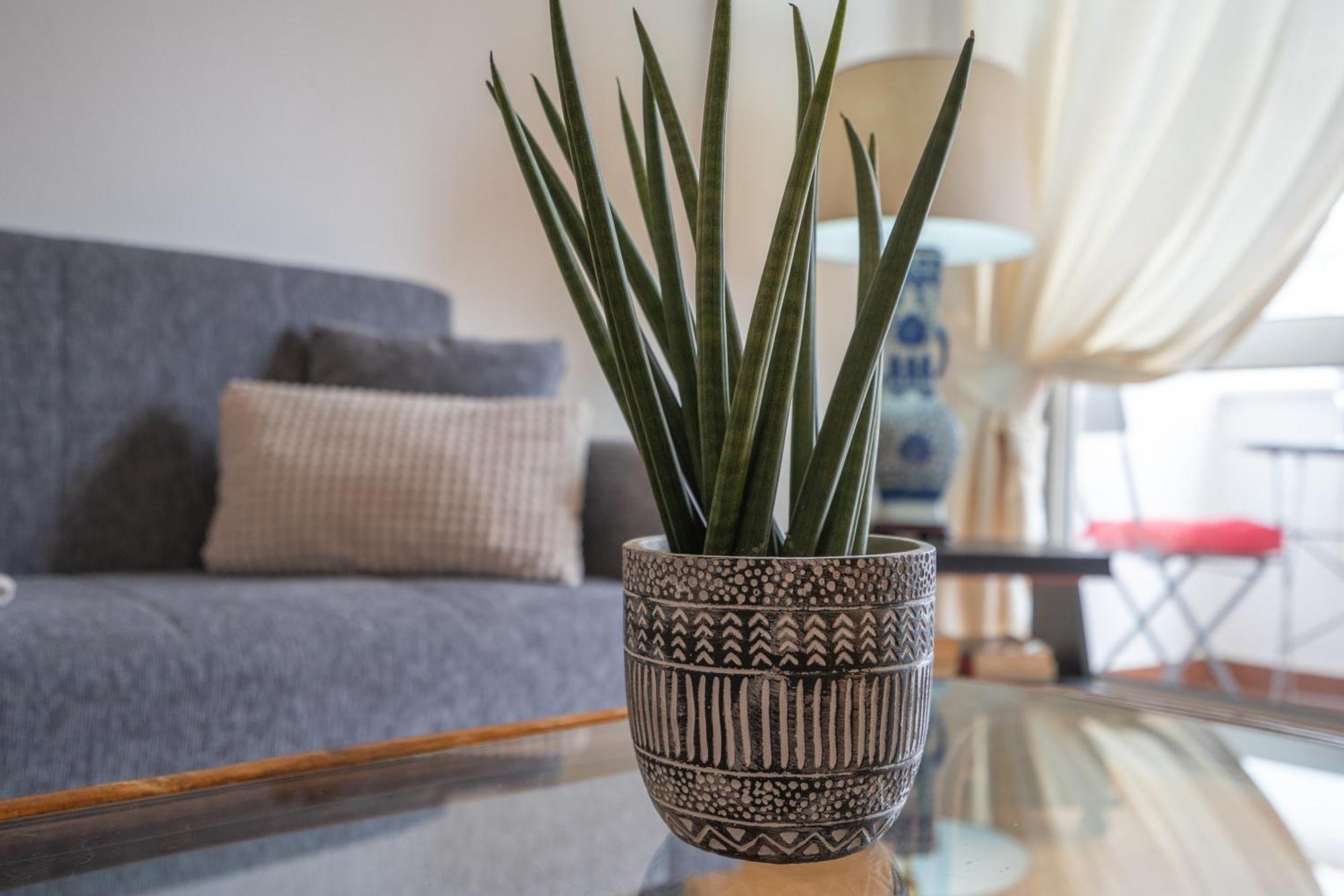 Apartamento Escadinhas Lagos Ngoại thất bức ảnh